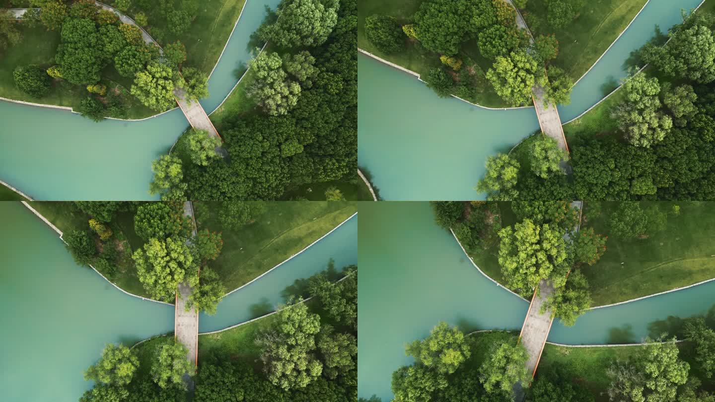 上海城市公园绿地航拍俯拍4K