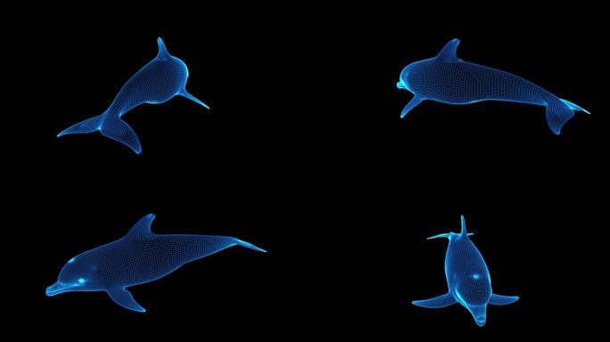 蓝色全息线框三维海豚动画素材带通道