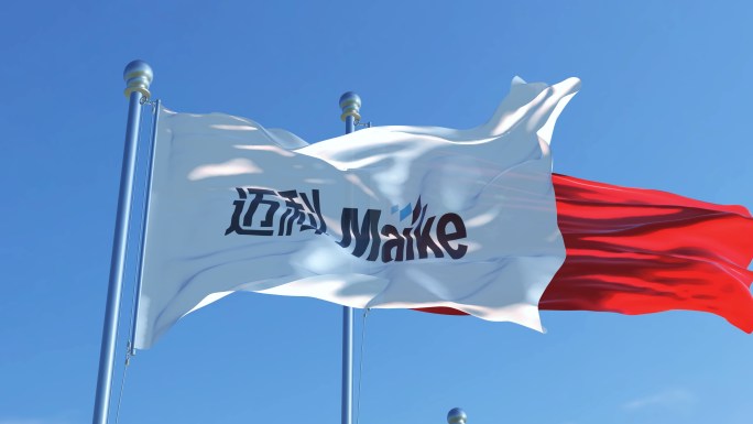 西安迈科金属国际集团有限公司旗帜