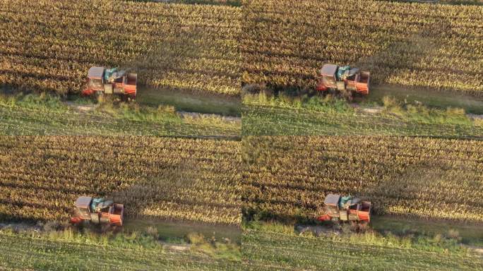 航拍收割机在乡间田里收割玉米