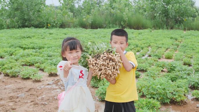 花生种植基地