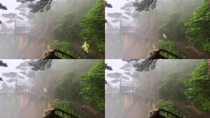 中国安徽黄山雨中游客