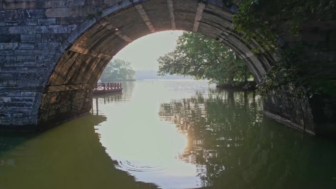 杭州西湖景区 茅家埠黛色参天