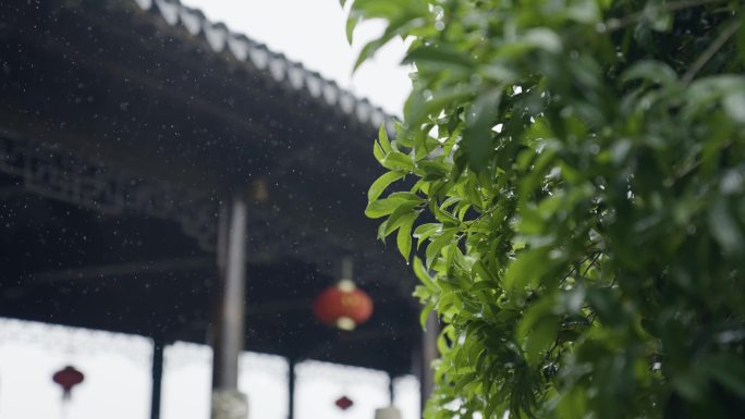 4K雨中屋檐江南古镇