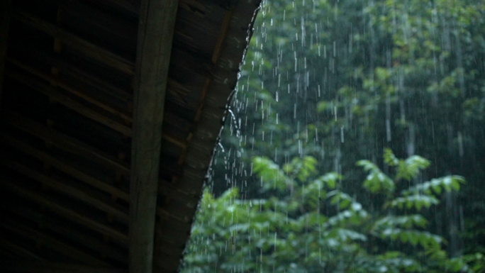 大雨视频