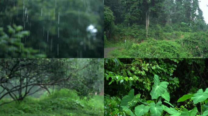 大雨视频