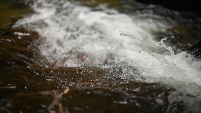 4K溯溪山涧网红小溪流潺潺流水