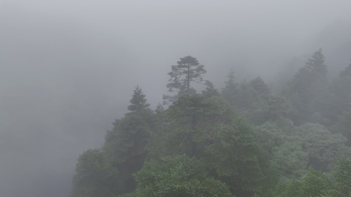 烟雨蒙蒙的自然风光航拍