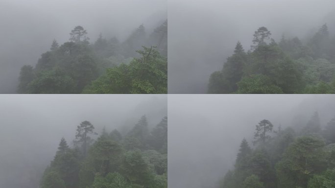 烟雨蒙蒙的自然风光航拍