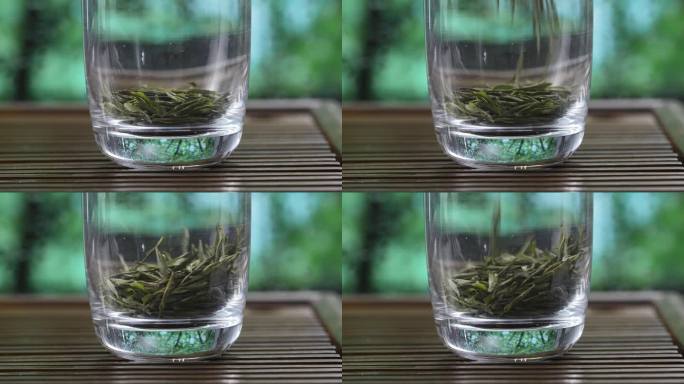 往玻璃杯中放绿茶叶泡茶