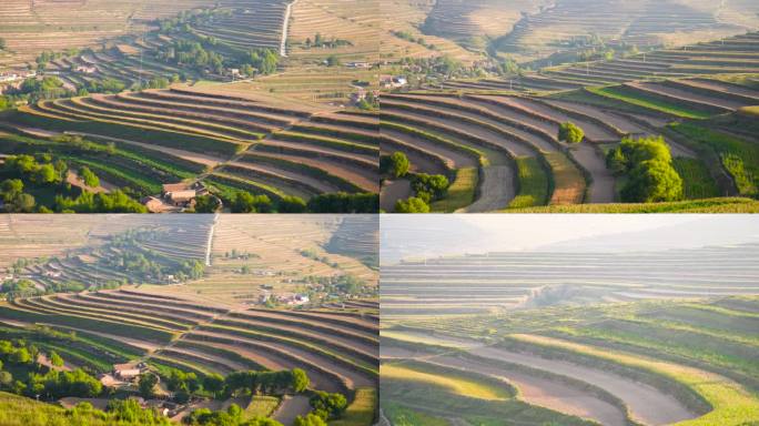 西北黄土高原山地丘陵梯田