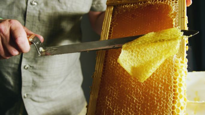 一名白人男子用刀切开蜂巢，将蜂蜡刮到附近的桶中，蜂蜜从木架上滴下