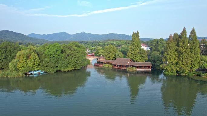 杭州西湖景区 茅家埠黛色参天