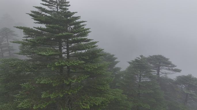 烟雨蒙蒙的自然风光航拍