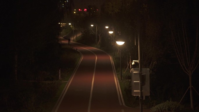 公园 夜晚公园 公园路灯 自行车道