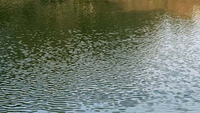 夕阳下湖面水波纹实拍视频