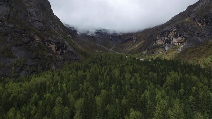 川藏风光 树林高山 航拍