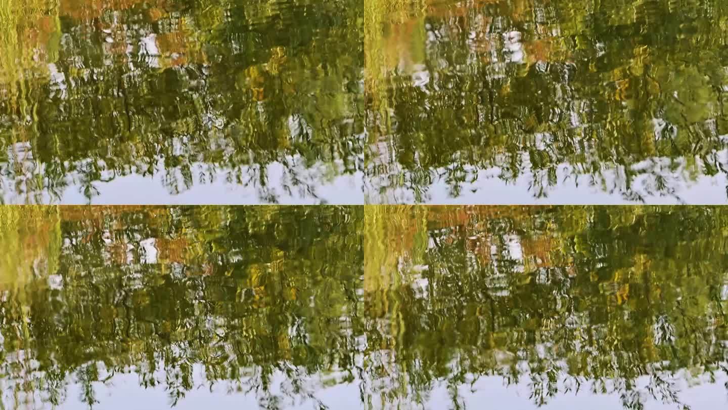湖边秋色水中倒影实拍视频