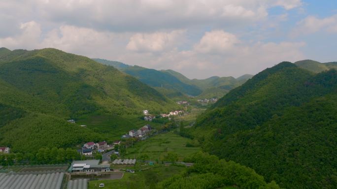 群山竹林航拍浙江湖州