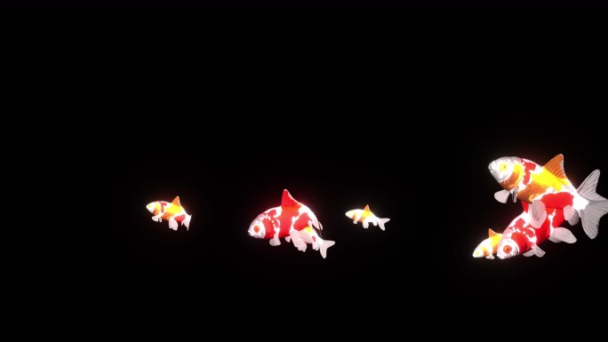 水幕鲤鱼跳水激光投影动画