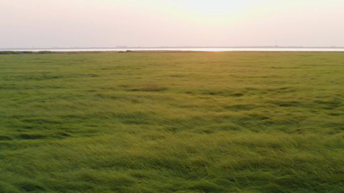 4K草海日落鄱阳湖生态草原
