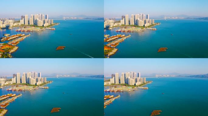 深圳蛇口渔港航拍城市风光远见深圳湾大桥
