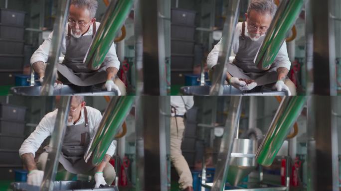 亚裔中国高级工匠，从冷却过程中旋转出来后，在工厂里用石头清理掉掉进桶中，收集并检查烤咖啡豆