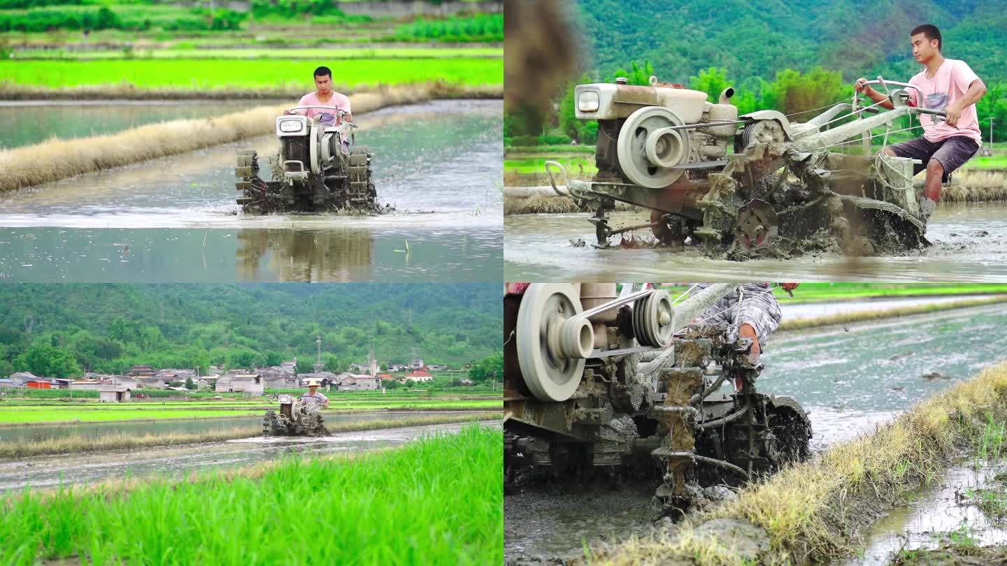 云南德宏稻田田地拖拉机耕地