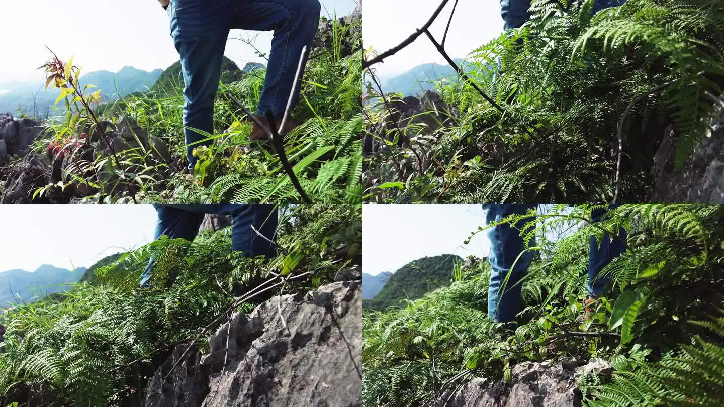 徒步 攀登 登山