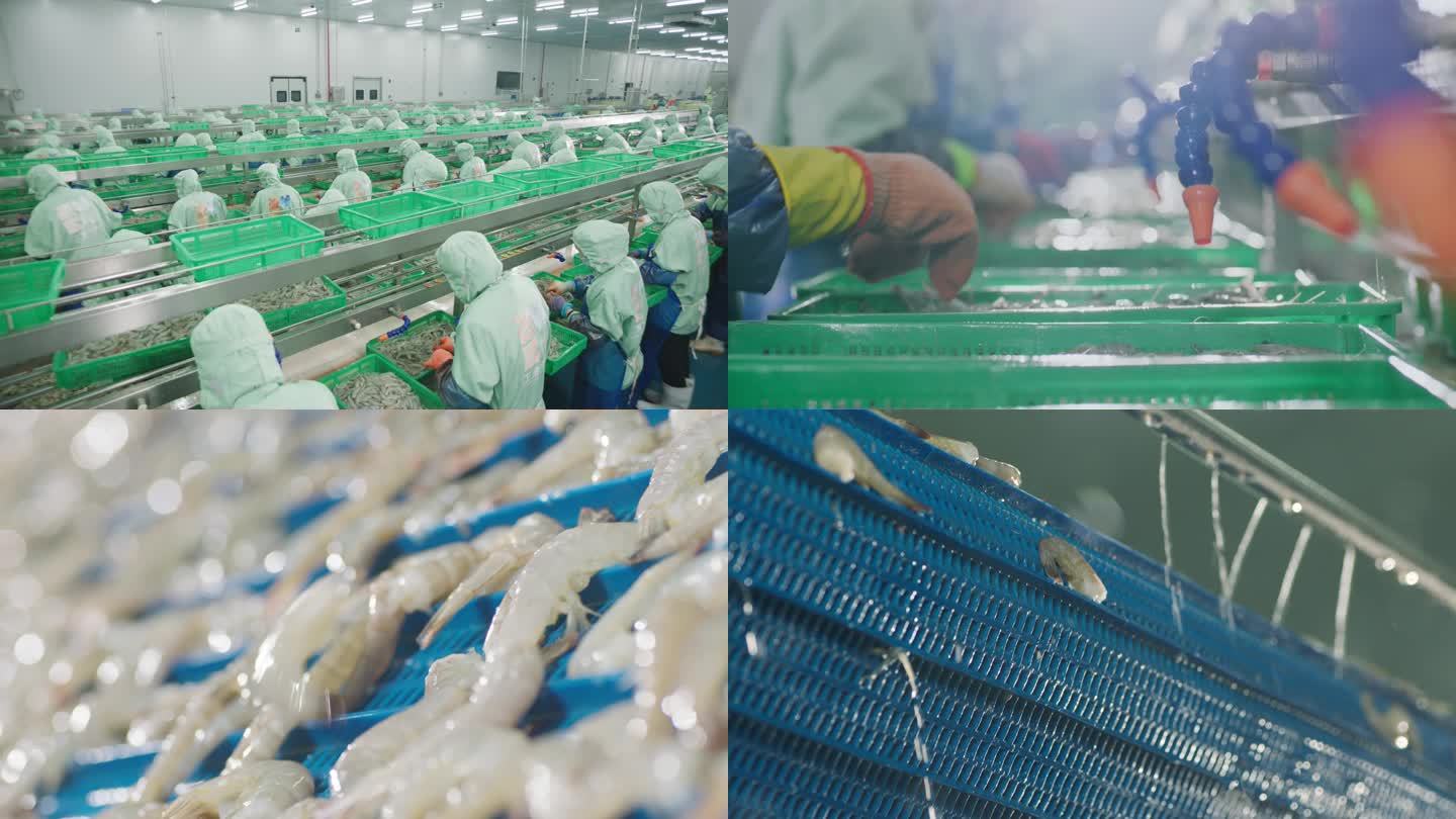 4K_食品厂生产对虾处理虾仁生产