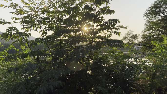 景点 景区  公园 湖泊 湖 湿地