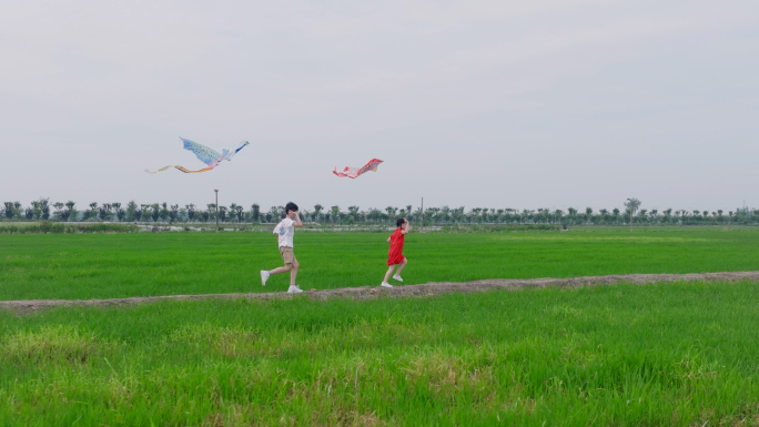 4K_田埂稻田麦田孩子拿风筝奔跑