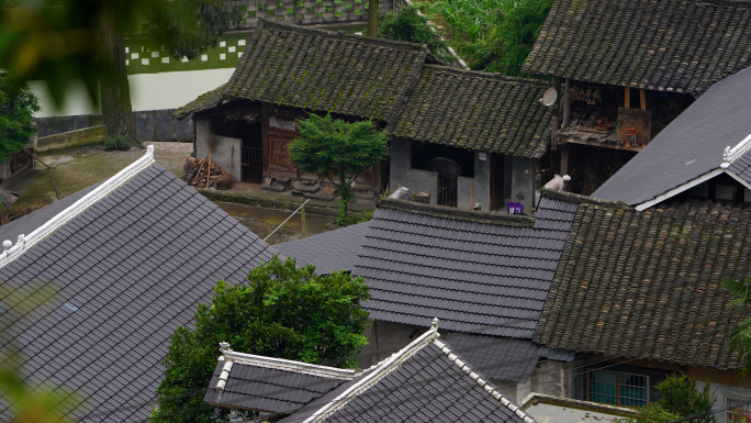 农村生活场景