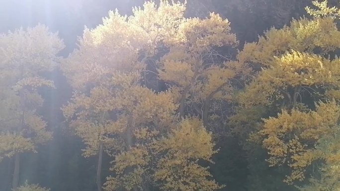 新疆哈密：天山觅秋