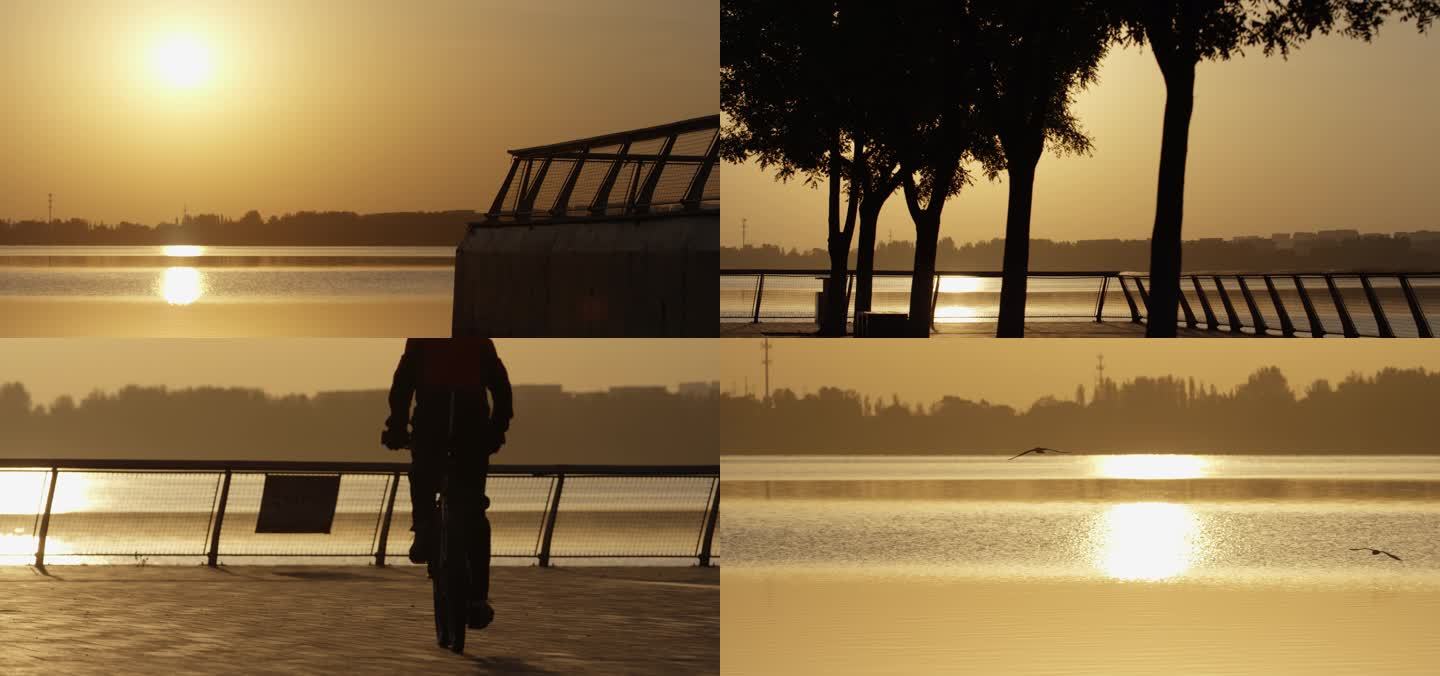 早晨湖边骑行 夕阳湖面飞鸟，朝阳 升格