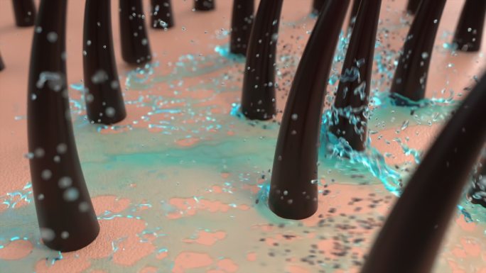 3d动画演示了清洁头发和皮肤污垢的水清洗