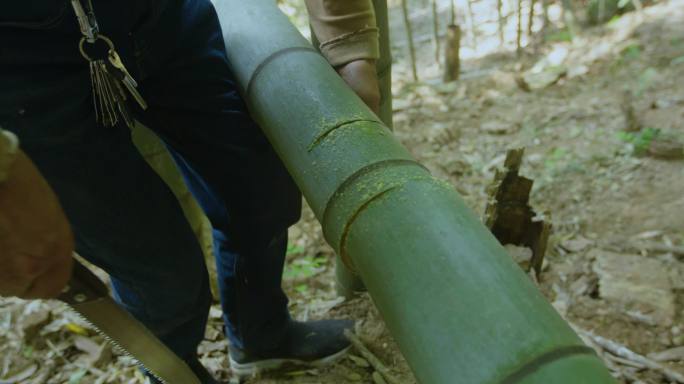 河流小溪 生态环境 采集竹子 传统工艺