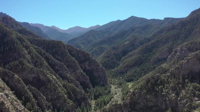 贺兰山素材贺兰山林原始森林