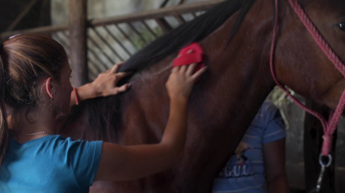一个年轻的女人照顾她的马
