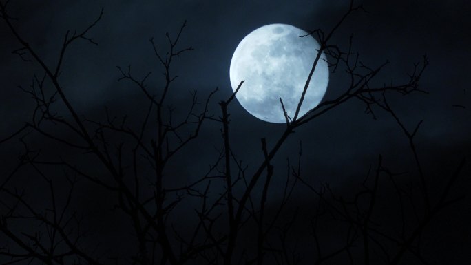 满月之夜月影悲凉意境圆月