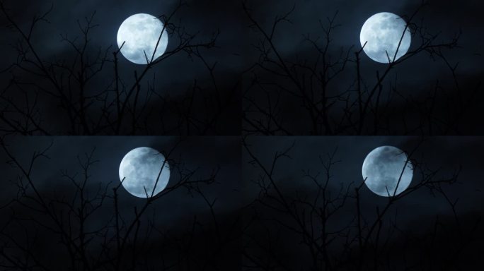 满月之夜月影悲凉意境圆月
