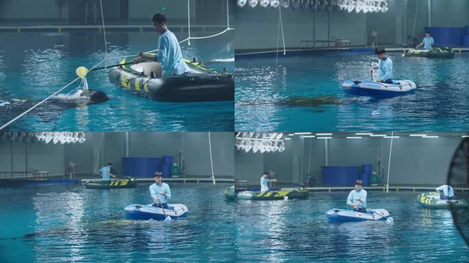 海洋馆 水族馆 鲸鲨 投喂食物