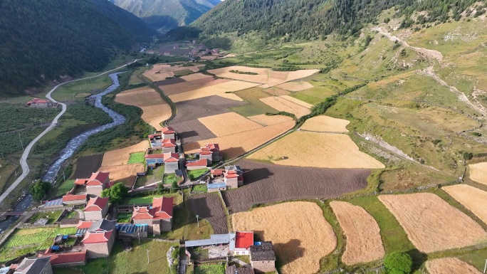 四川甘孜上埕子村农田乡村秋景