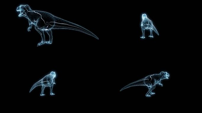 透视全息霸王龙走路透明通道素材