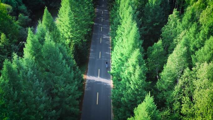 4K唯美女孩林间小路奔跑升格慢动作航拍