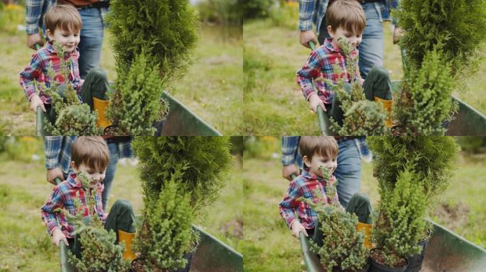 后院家庭植树外国小孩盆栽种植推车养殖绿植