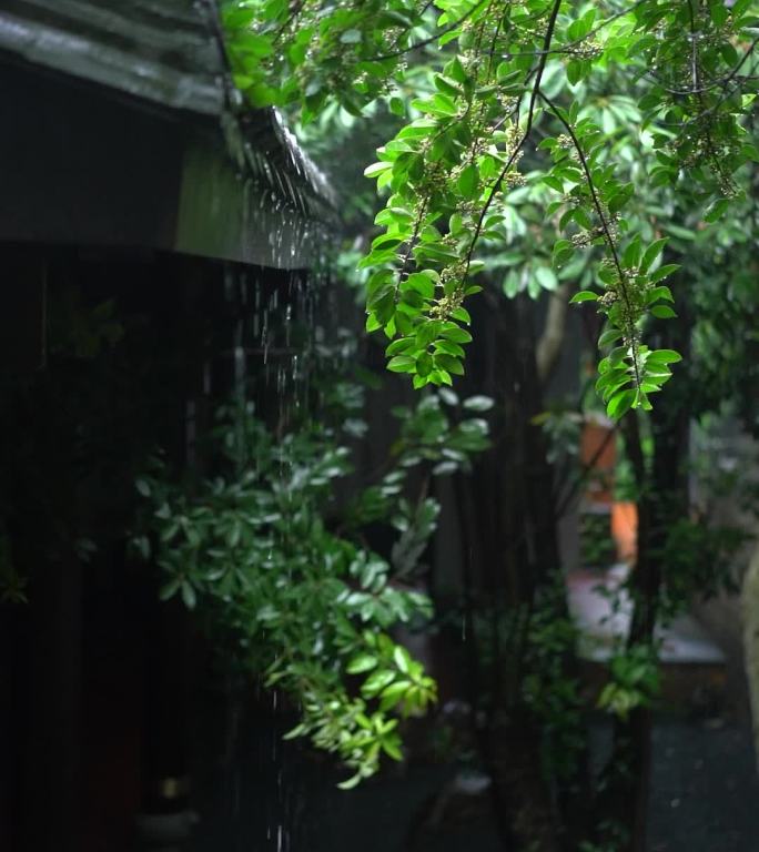 屋檐下的雨滴