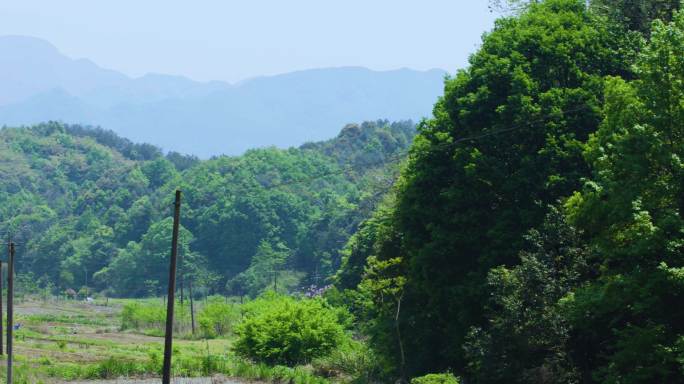 山间小路 秀美景色 大好河山 山间洞穴