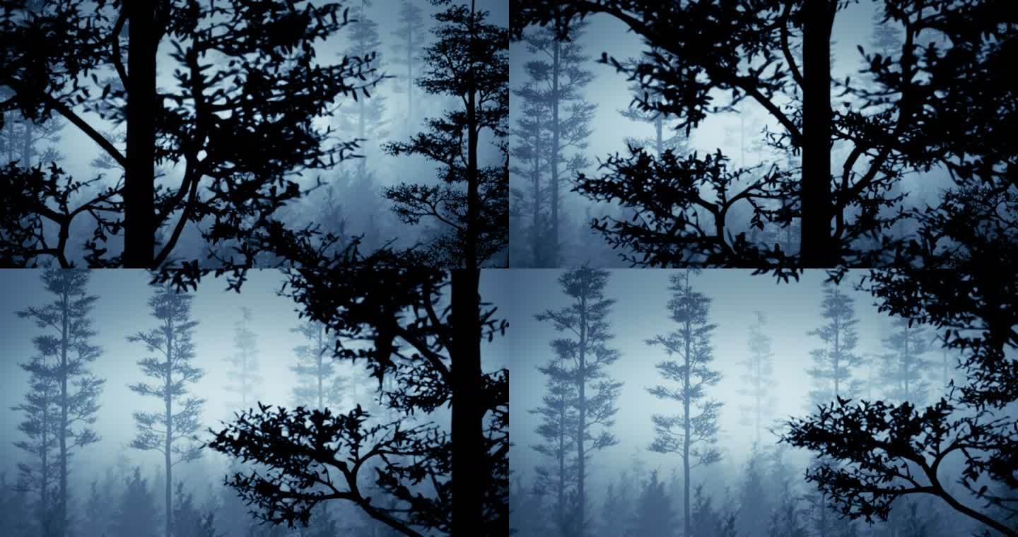 薄雾笼罩着山上的松树