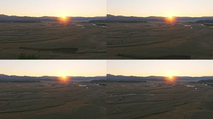 4K正版-夕阳下的乡村丰收的金色田野01